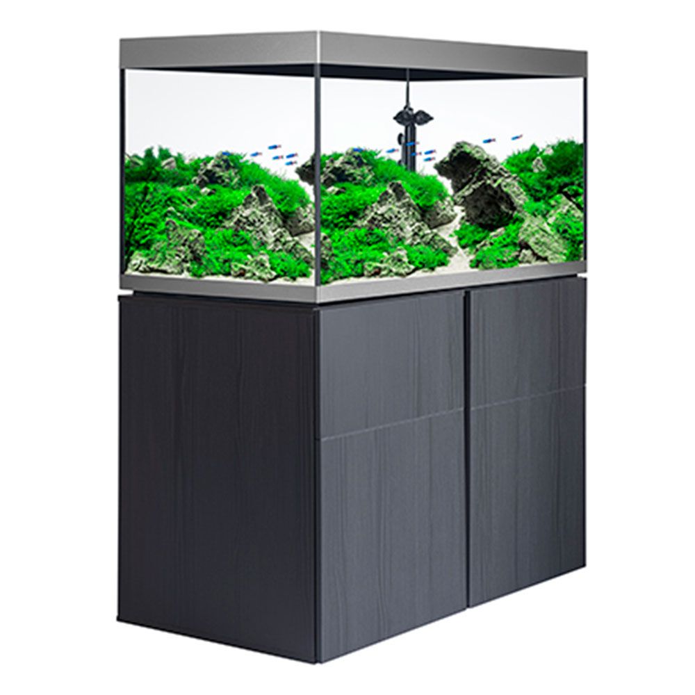 Askoll Fluval Siena 270 Combo Acquario con Supporto Graphite 90x55x55h cm