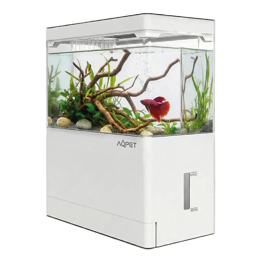 Aqpet Hydo Mini Acquario da scrivania con supporto bianco 