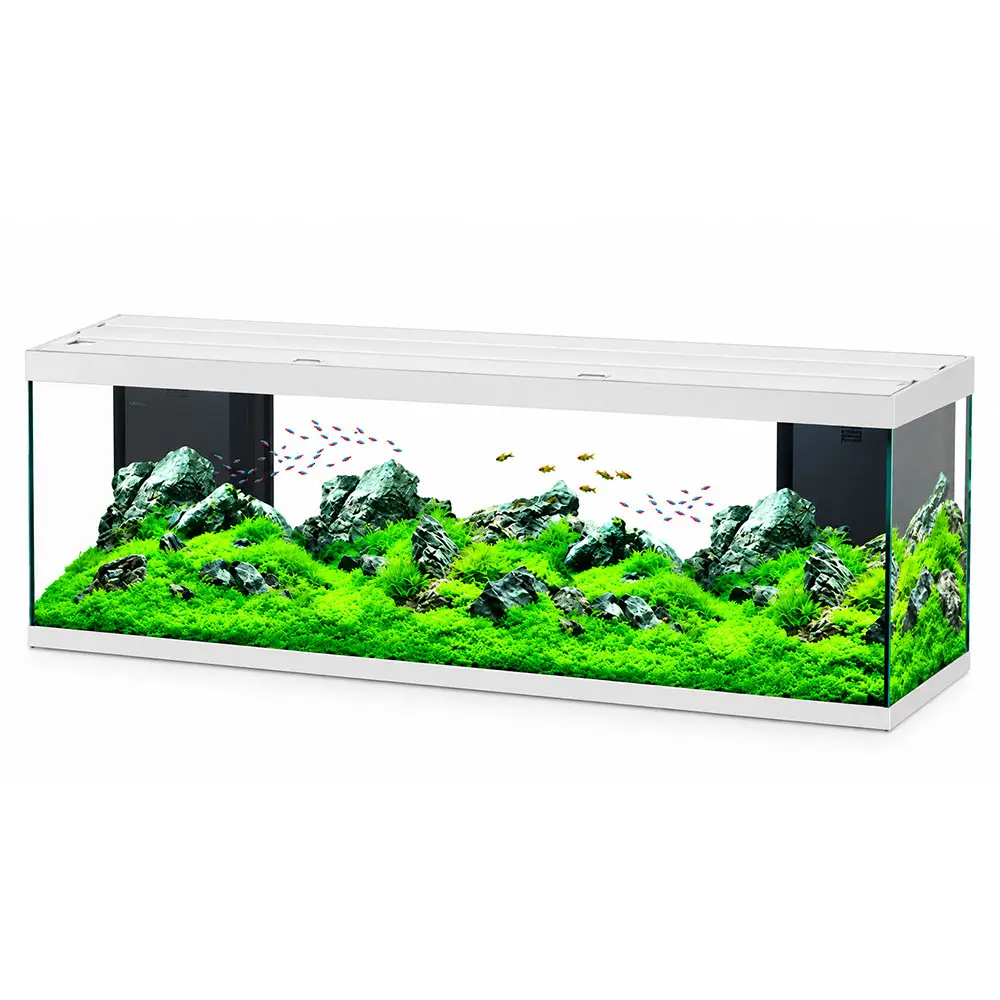 Aquatlantis Splendid Ultra 200 Acquario 500 Litri Filtraggio interno 199x50x61h cm Bianco