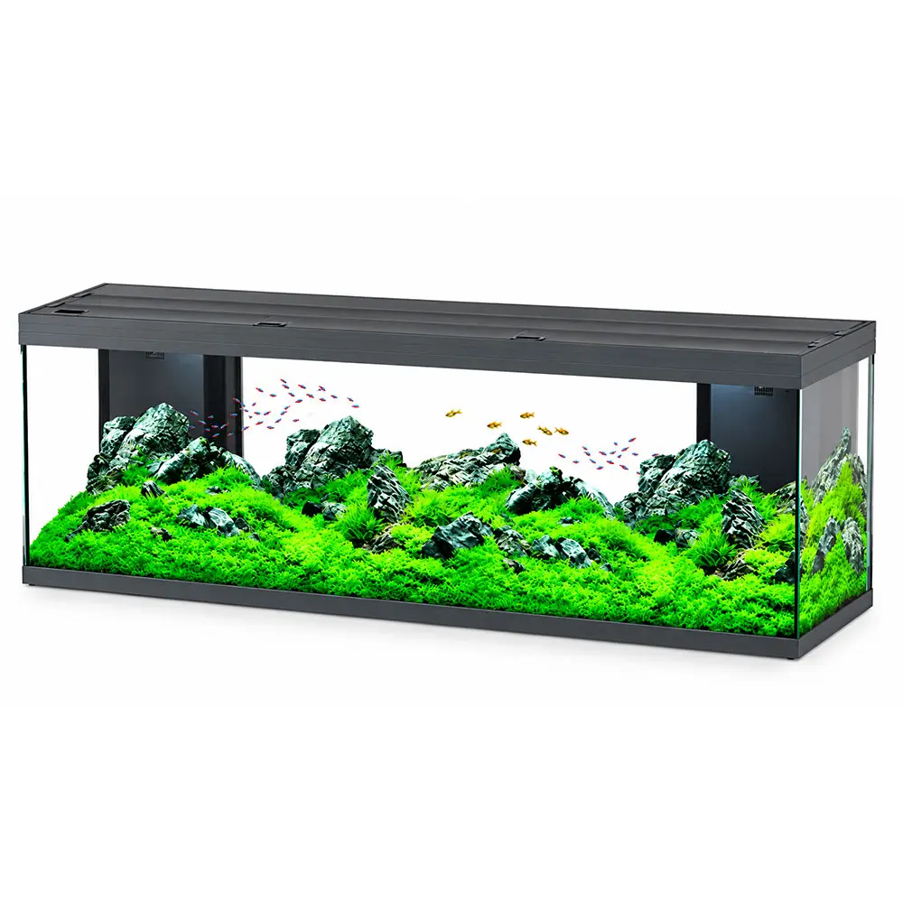 Aquatlantis Splendid Ultra 200 Acquario 500 Litri Filtraggio interno 199x50x61h cm Antracite opaco