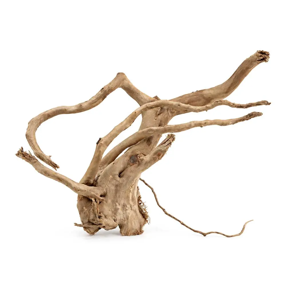 Legno Branch Wood 2274 con foto reale e misure 35x15x22h