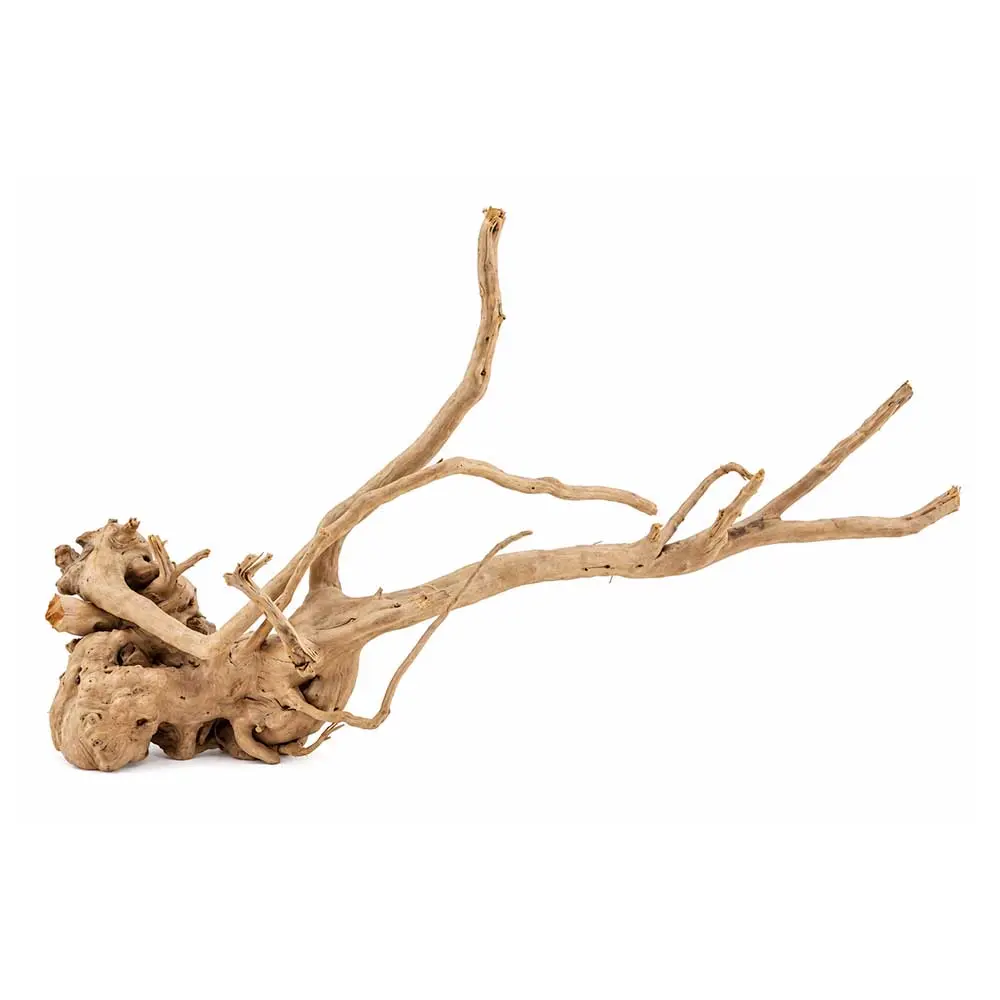 Legno Branch Wood 2275 con foto reale e misure 47x14x27h