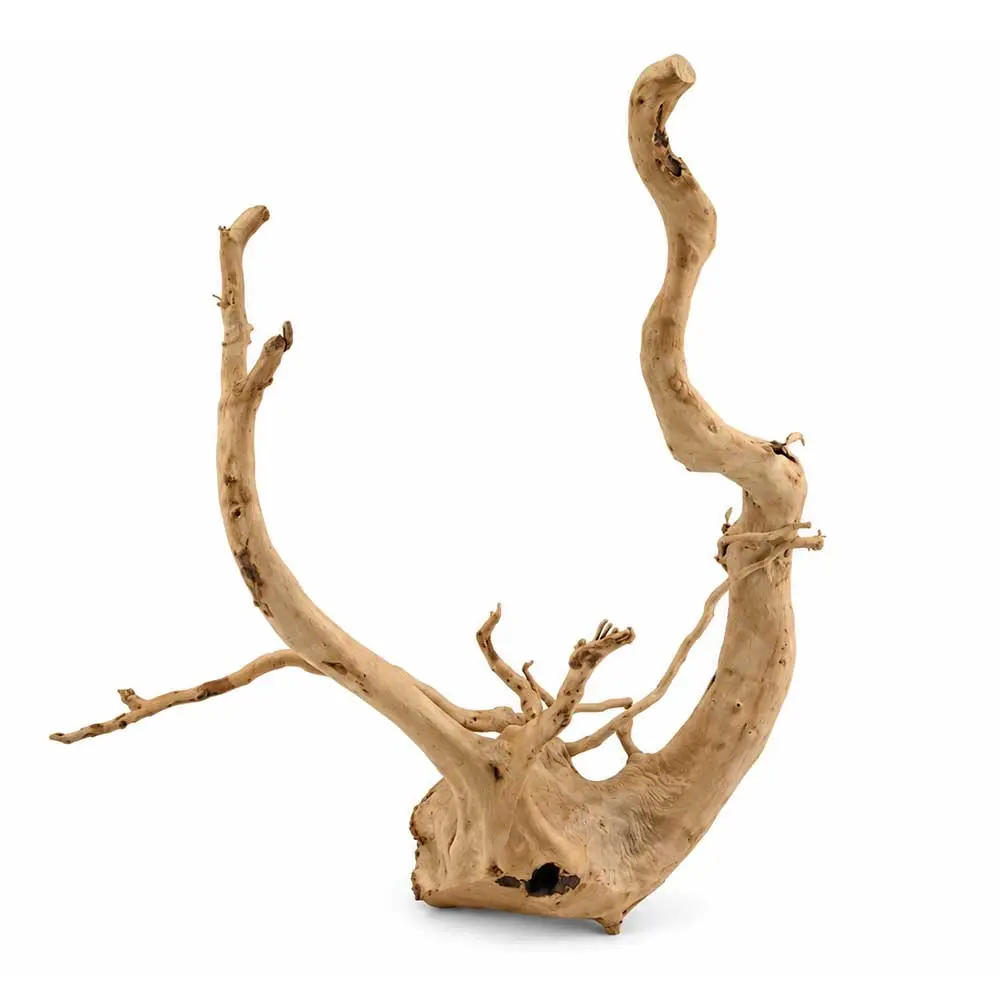 Legno Branch Wood 2276 con foto reale e misure 28x18x35h