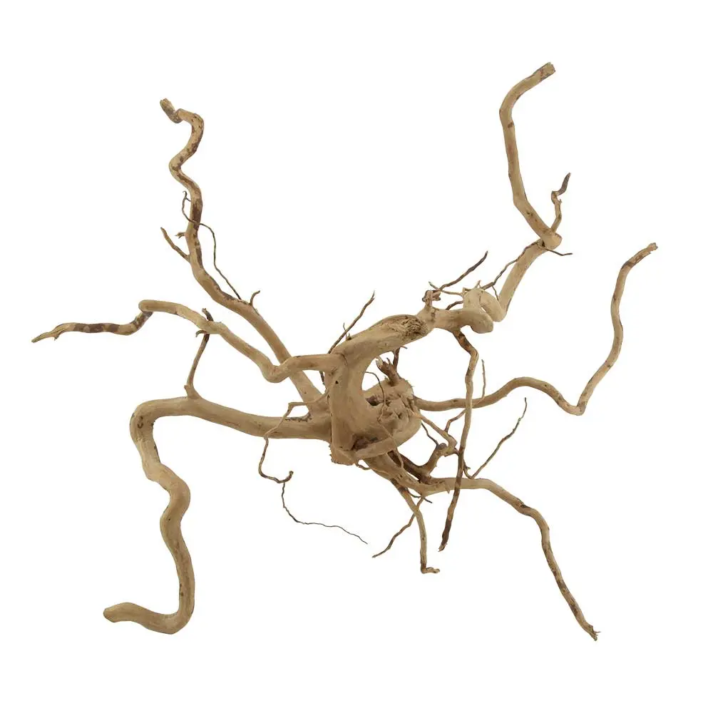 Legno Branch Wood 2277 con foto reale e misure 59x20x53h