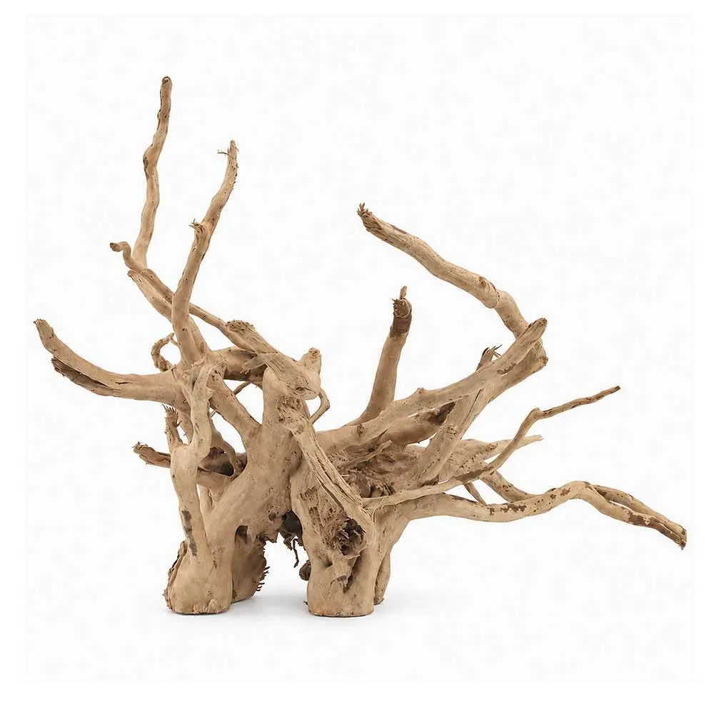 Legno Branch Wood 2279 con foto reale e misure 38x23x26h