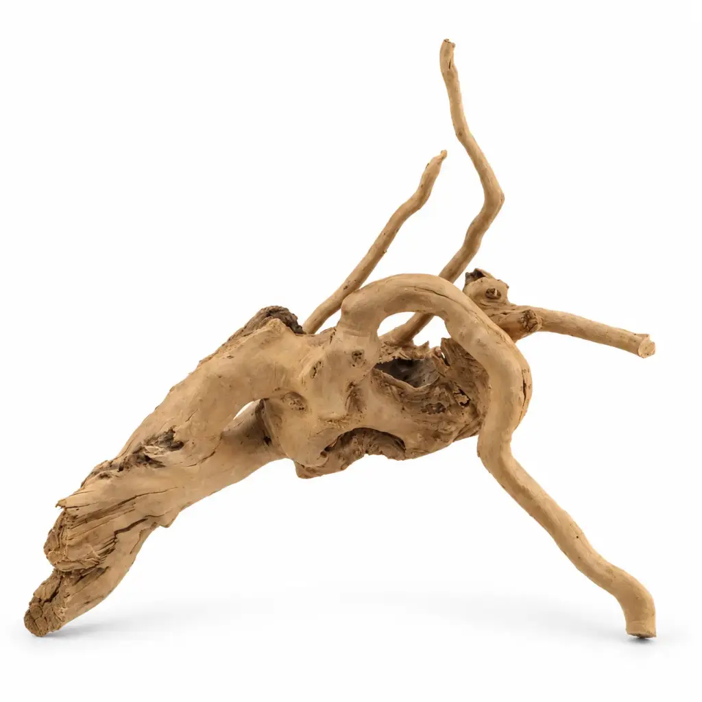 Legno Branch Wood 2287 con foto reale e misure 28x13x25h
