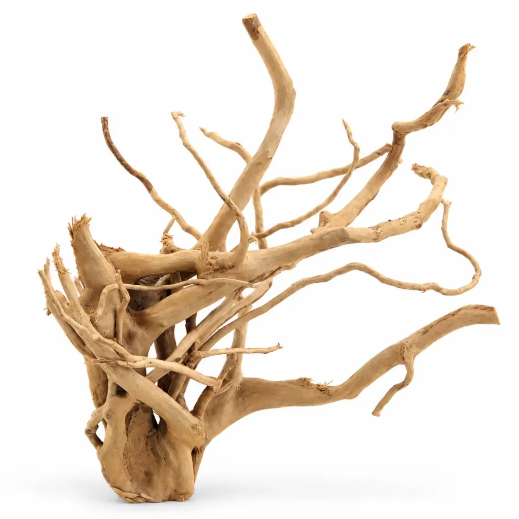 Legno Branch Wood 2290 con foto reale e misure 23x20x25h