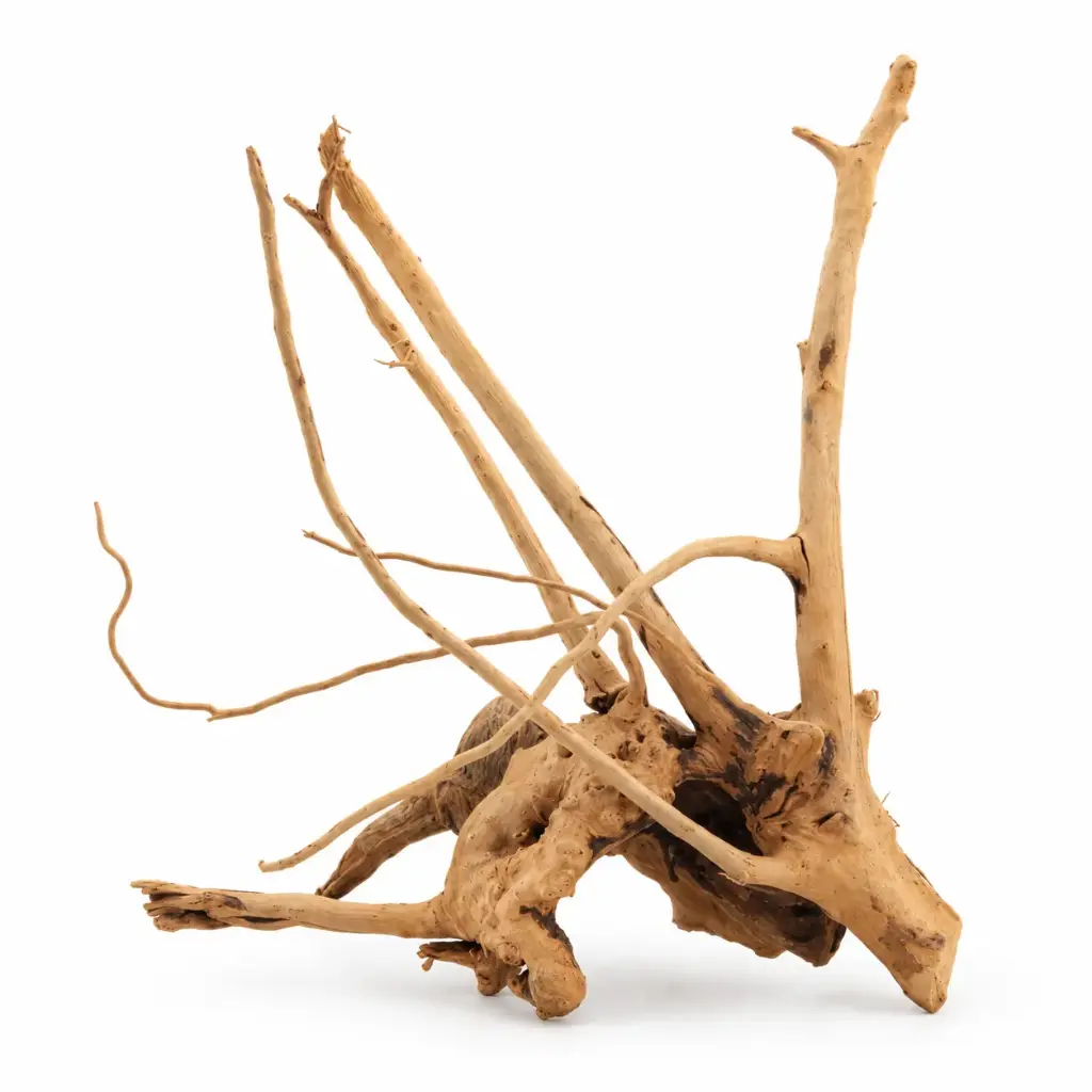 Legno Branch Wood 2293 con foto reale e misure 17x15x22h