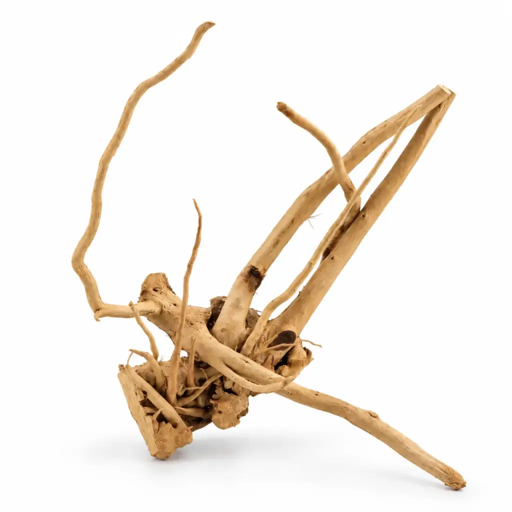 Legno Branch Wood 2294 con foto reale e misure 19x10x18h