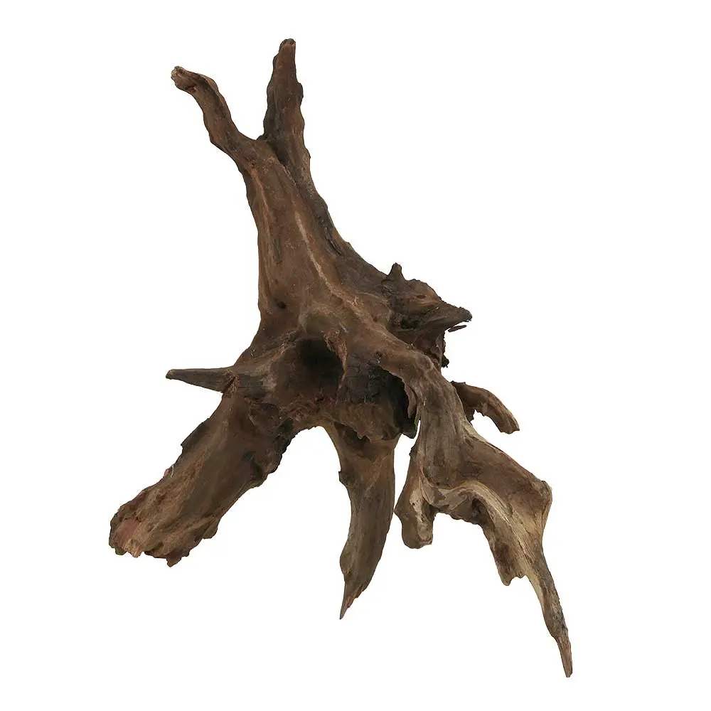Legno Drift Wood 184 con foto reale e misure 20x13x25h