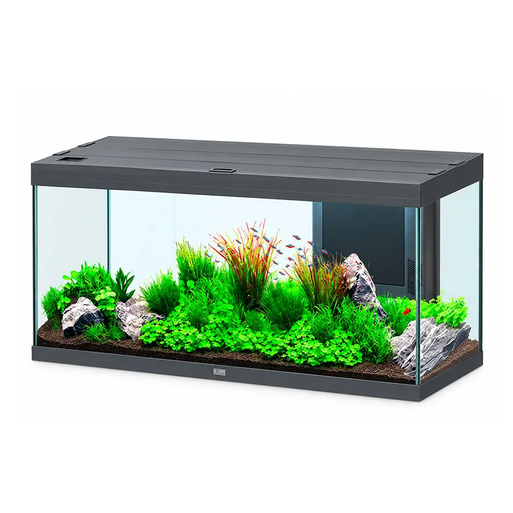 Aquatlantis Splendid Ultra 120 Acquario 240 Litri Filtraggio interno 120x40x61 cm Antracite