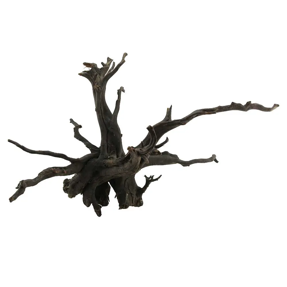 Legno Black Root 12 con foto reale e misure 67x47x46h cm