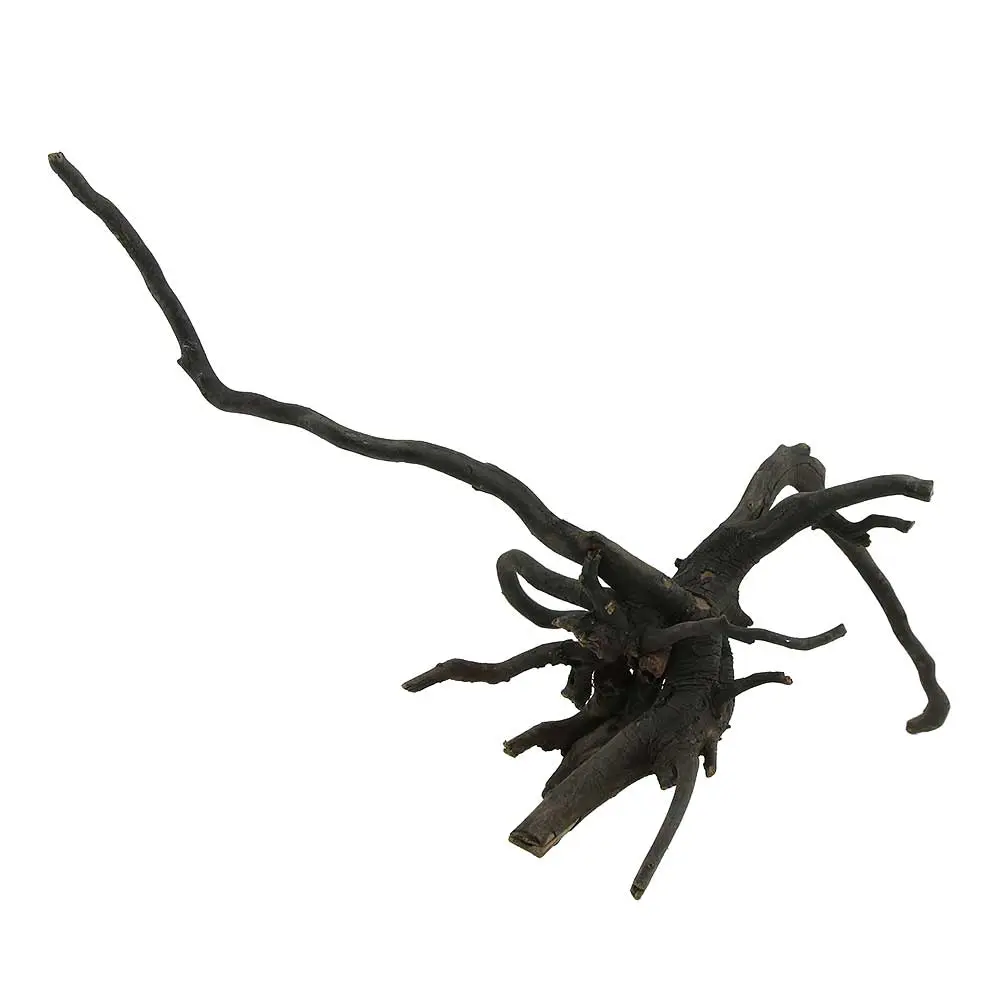 Legno Black Root 13 con foto reale e misure 42x25x29h cm