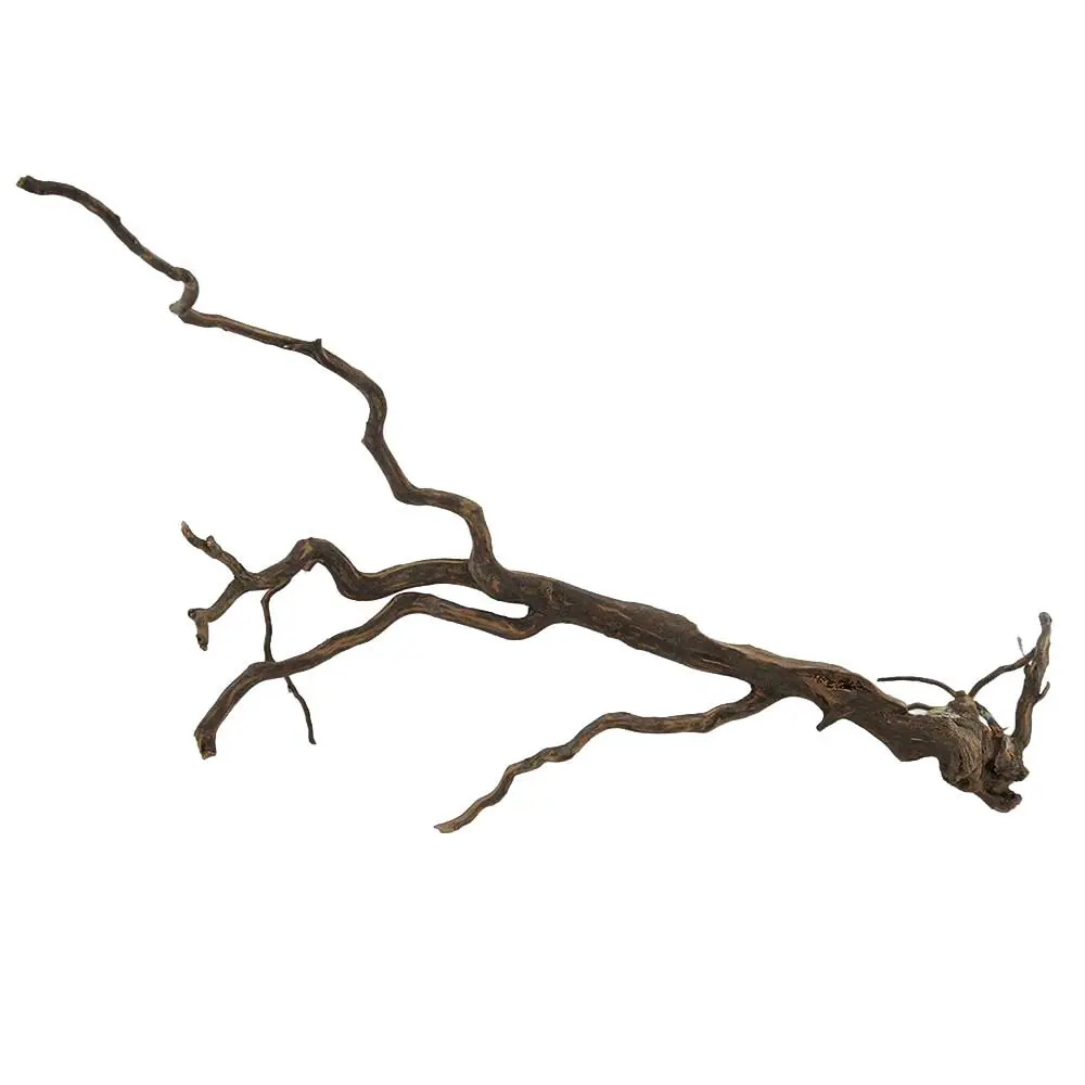 Legno Spider King 315 con foto reale e misure 46x22x30h cm