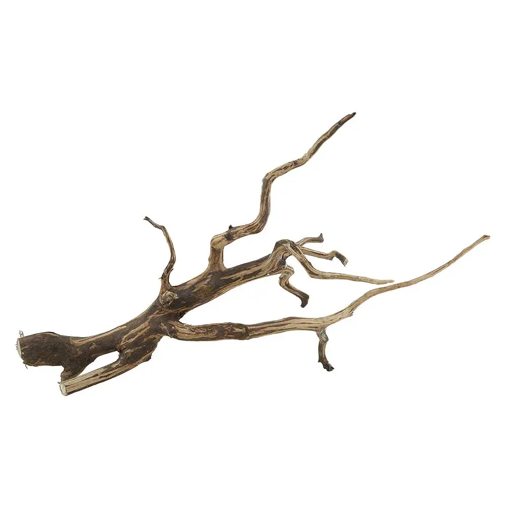 Legno Spider King 316 con foto reale e misure 46x22x30h cm