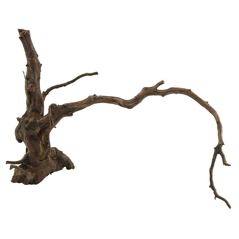 Legno Spider King 319 con foto reale e misure 30x17x23h cm