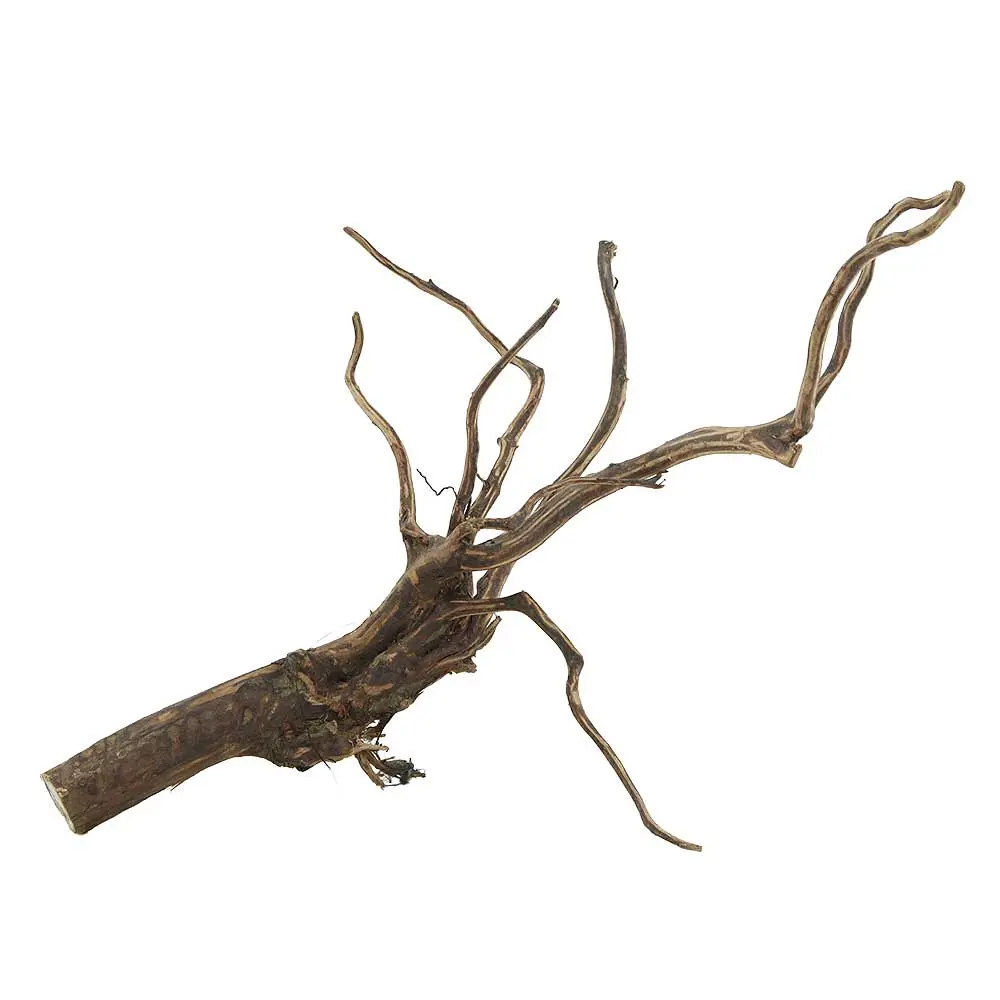 Legno Spider King 325 con foto reale e misure 29x17x21h cm