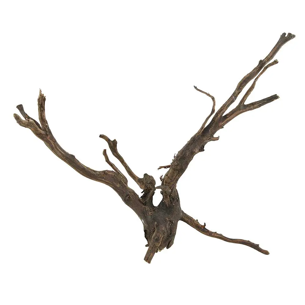 Legno Spider King 327 con foto reale e misure 35x20x27h