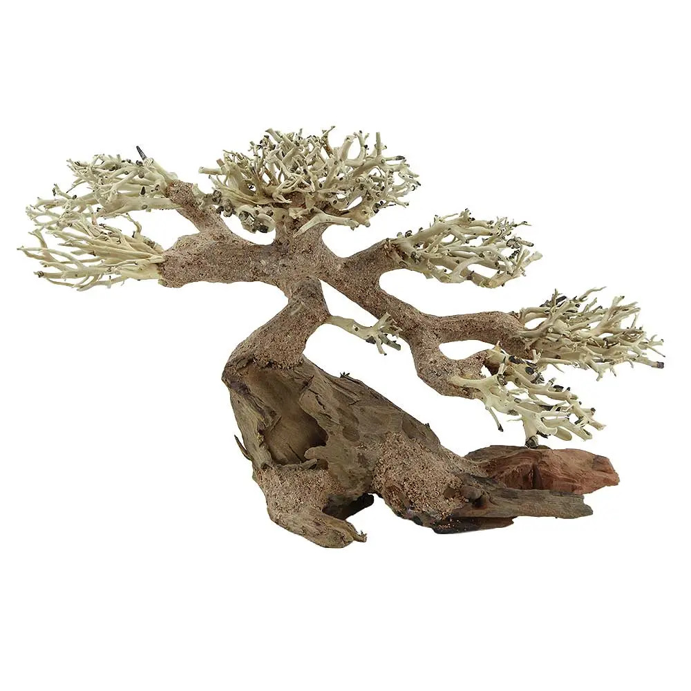 Amtra Legno Oriental Wind 5 Medium 1 con foto reale 31x12x19hcm