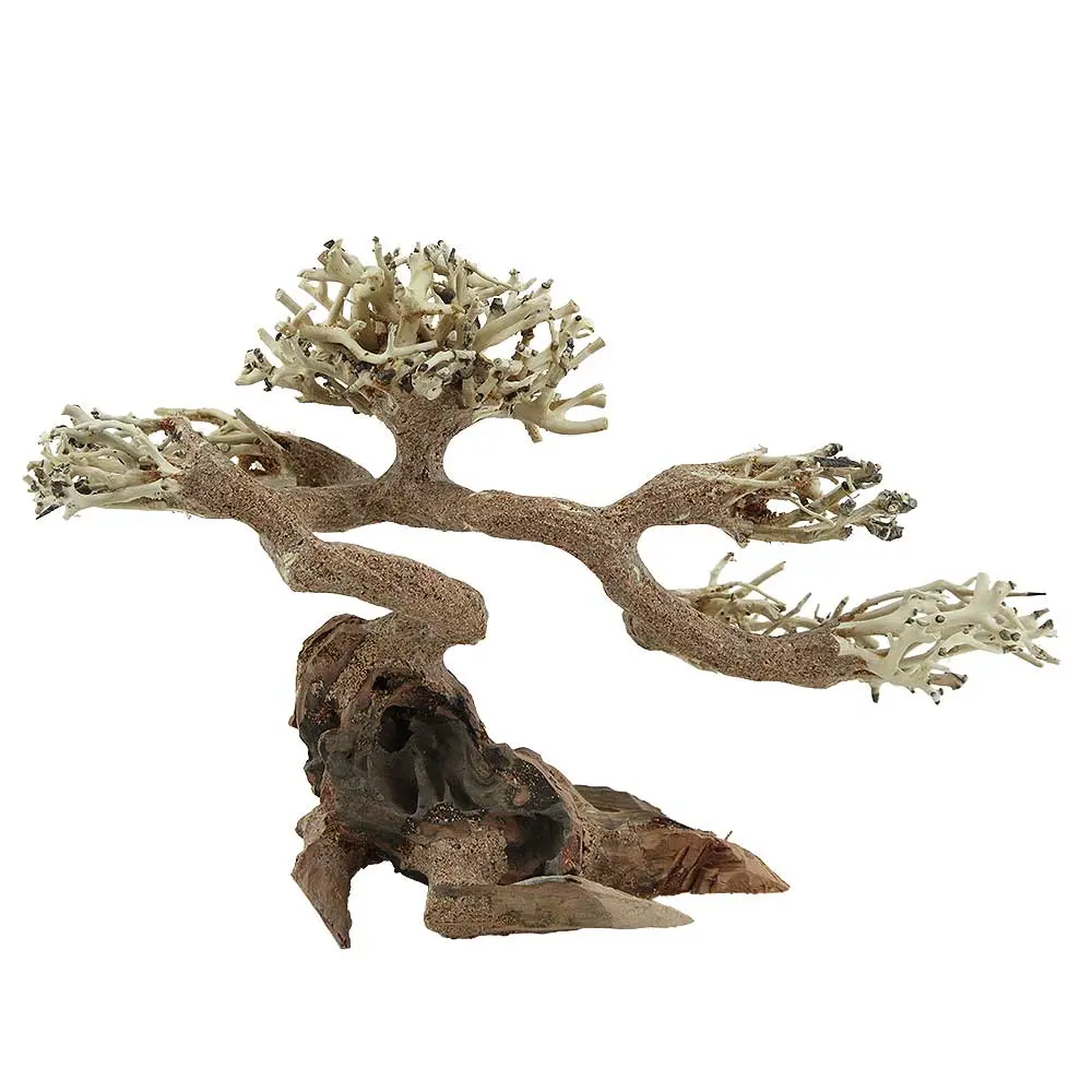 Amtra Legno Oriental Wind 5 Small 5 con foto reale 26x11x18hcm