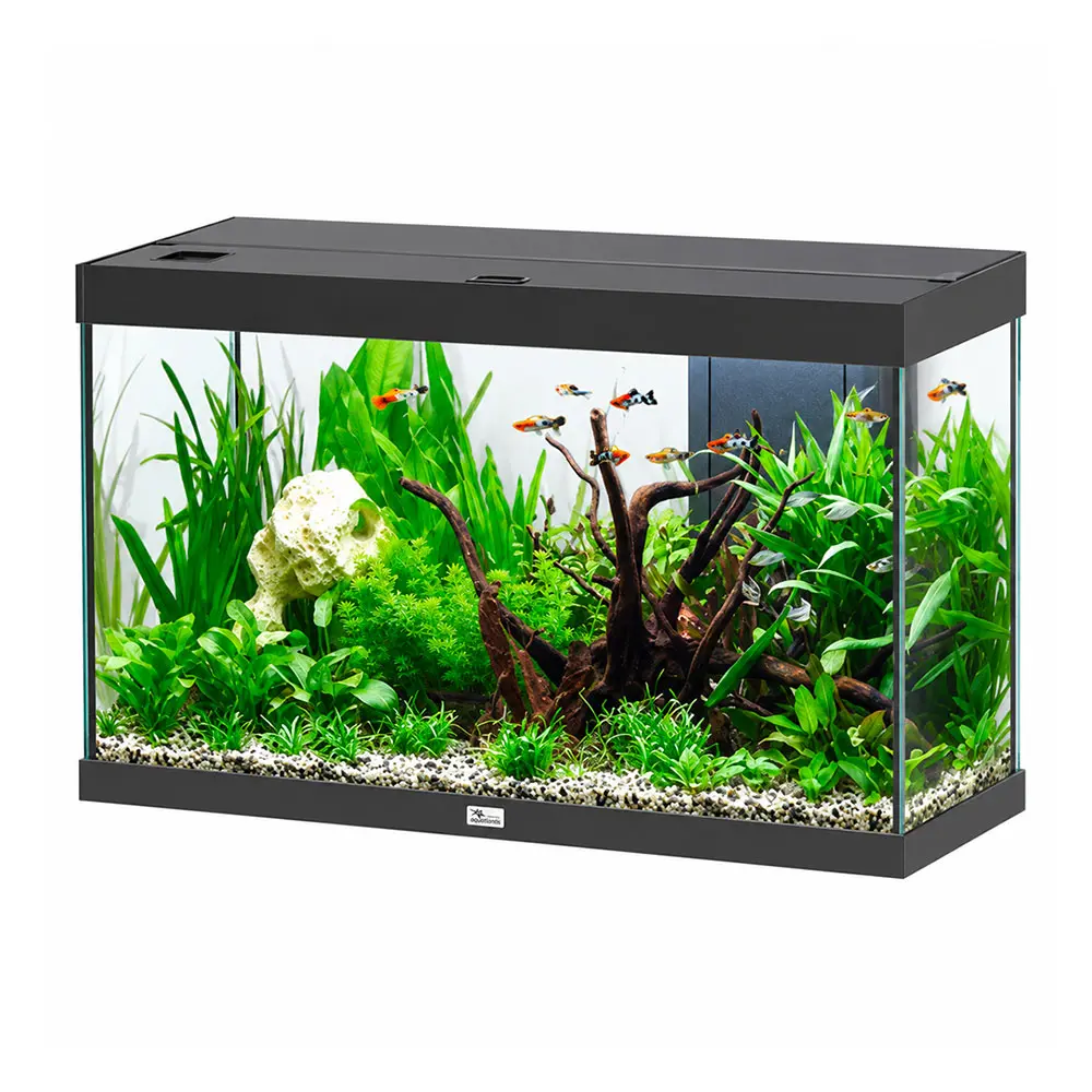 Aquatlantis Splendid Ultra 100 Acquario 202 Litri Filtraggio interno 102x40x61 cm Nero