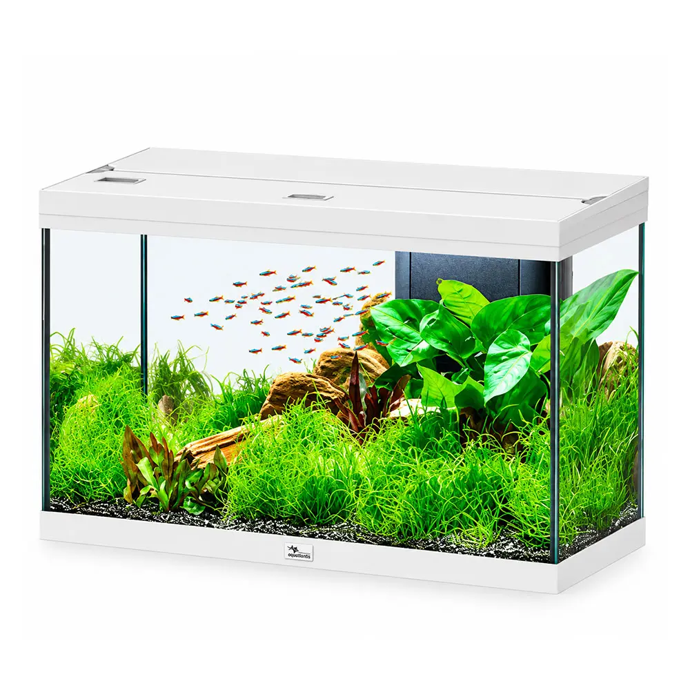 Aquatlantis Splendid Ultra 80 Acquario 202 Litri Filtraggio interno 80x40x56 cm Bianco