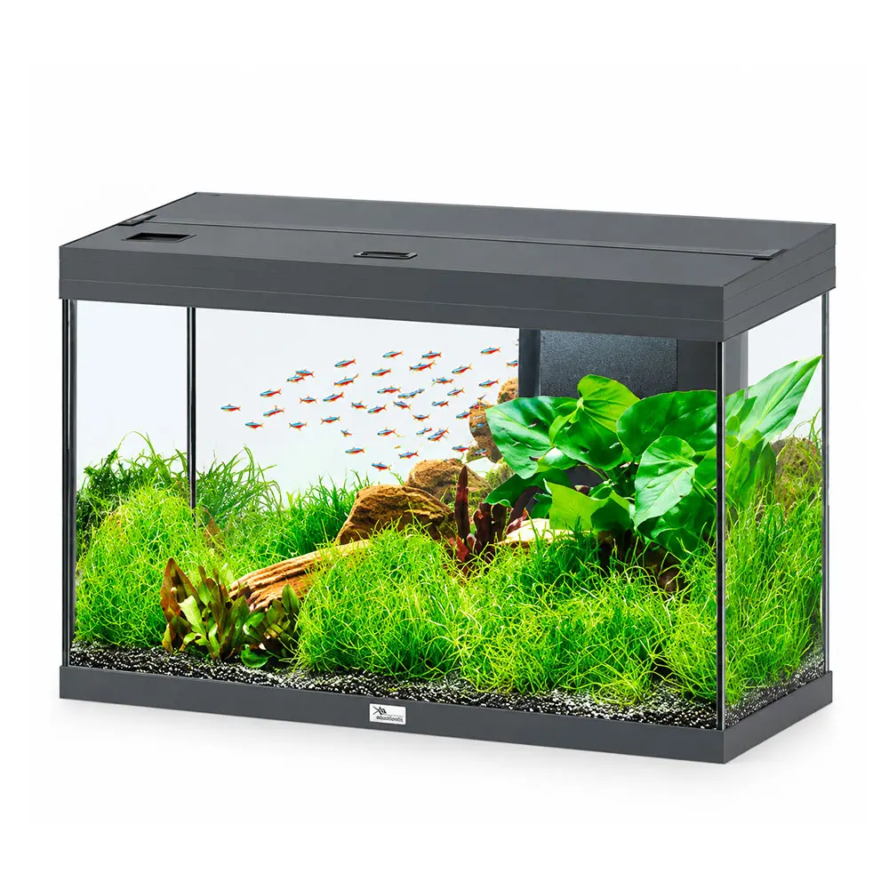 Aquatlantis Splendid Ultra 80 Acquario 202 Litri Filtraggio interno 80x40x56 cm Antracite