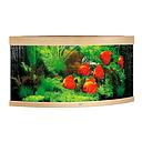 Juwel Acquario Trigon 350 Litri LED Light Wood 123x87x65H cm