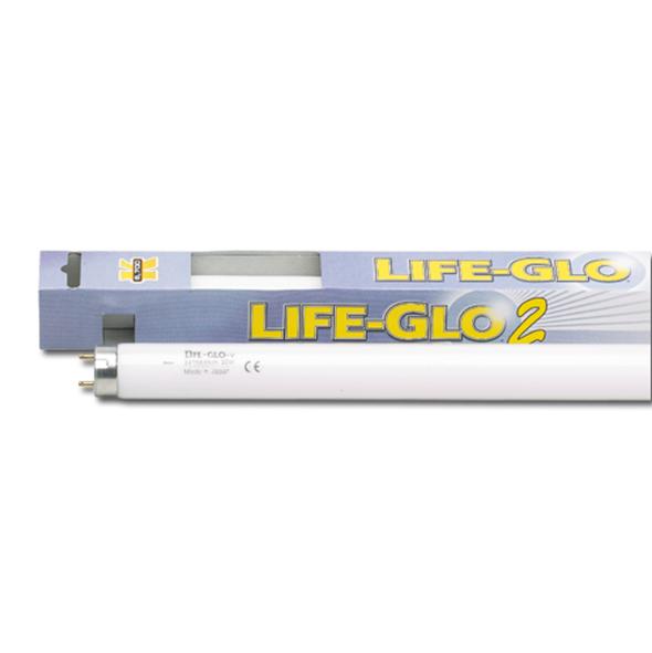 Askoll Lampada a neon Life Glo T8 40W 1200mm
