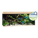 Juwel Acquario Rio 450 Litri LED Light Wood 151x51x66H cm