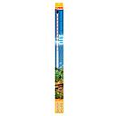Sera LED X-Change Tube Daylight Sunrise 820 (sostituisce il 30W T8 e 39-45W T5) 22W 820mm