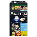 Dennerle Plafoniera Reef Light 36W 10000 K° e Blu attinica 2:2 per Nano Marinus