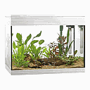 Askoll Acquario Pure LED L White 56x36x43,5h cm 68Lt