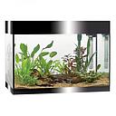 Askoll Acquario Pure LED L Absolute Black 56x36x43,5h cm 68Lt