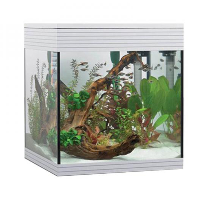 Askoll Acquario Pure LED M White 36x36x43,5h cm 44Lt