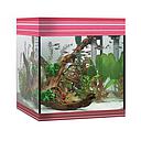 Askoll Acquario Pure LED M Ambitious Burgundy 36x36x43,5h cm 44Lt