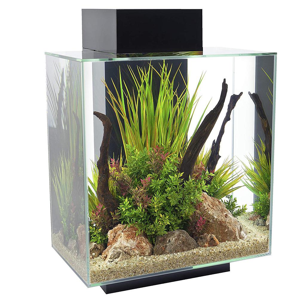 Askoll Acquario Fluval Edge 2.0 Led e Luce lunare 46Lt Black 43x35x59h cm