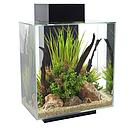 Askoll Acquario Fluval Edge 2.0 Led e Luce lunare 46Lt Black 43x35x59h cm
