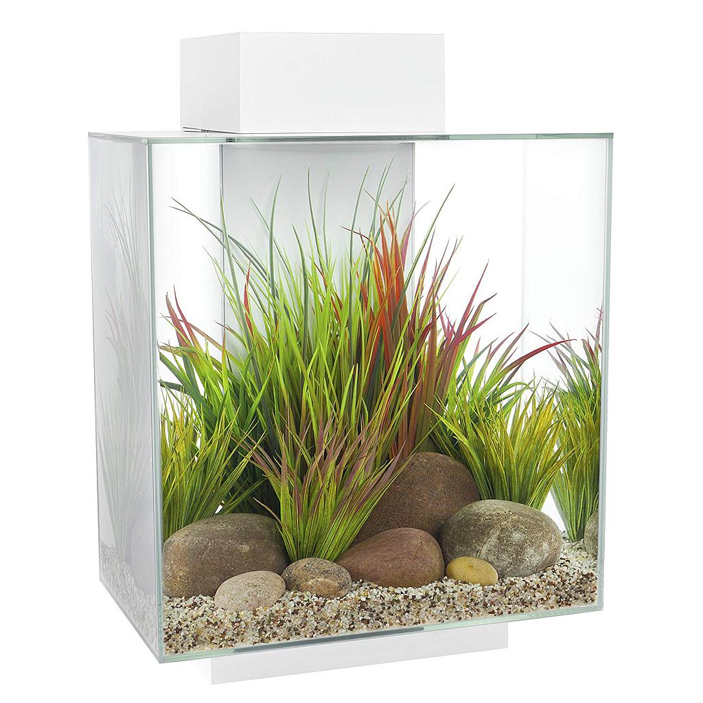 Askoll Acquario Fluval Edge 2.0 Led e Luce lunare 46Lt White 43x35x59h cm