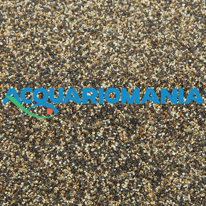 Askoll Pure Sand River ghiaia circa 1mm per allestimento acquario 4Kg