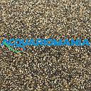 Askoll Pure Sand River ghiaia circa 1mm per allestimento acquario 4Kg