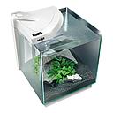 Newa More 20 Caridinae Acquario Freshwater Completo Led Touch 18Lt Bianco
