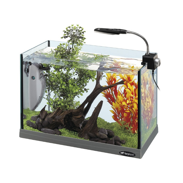 Ferplast Acquario Cayman 40 Open 41,5 x 21,5 x h 37,5 - 21 l