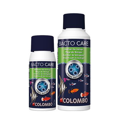 Colombo Bacto Care Batteri mantenimento biologico 100ml