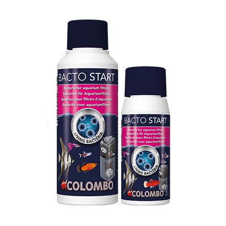 Colombo Bacto Start Batteri per avvio filtri biologici 250ml
