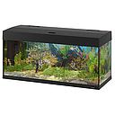 Ferplast Acquario Dubai 100 Led Nero 101x41x h 53 cm 190 l