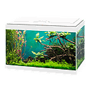 Ciano Aqua 20 Light Led Acquario Led 17Litri Bianco 40x24,8x20h