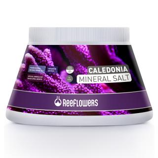 ReeFlowers Caledonia Mineral Salt 500ml 500g