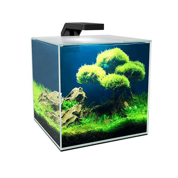 Ciano Aquarium Cube 10 Led Nano Acquario con Filtraggio Luce a Led e coperchio 10 Litri