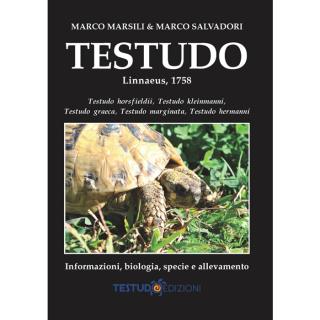 Libro Testudo